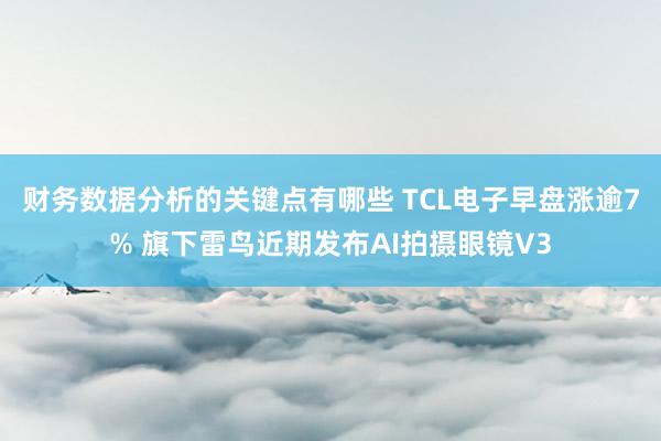 财务数据分析的关键点有哪些 TCL电子早盘涨逾7% 旗下雷鸟近期发布AI拍摄眼镜V3