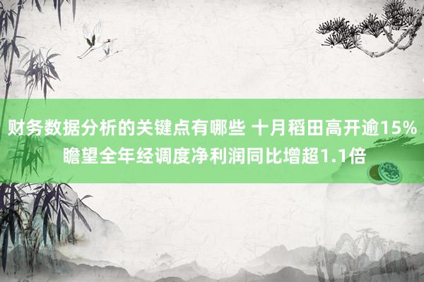 财务数据分析的关键点有哪些 十月稻田高开逾15% 瞻望全年经调度净利润同比增超1.1倍