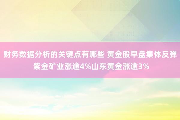 财务数据分析的关键点有哪些 黄金股早盘集体反弹 紫金矿业涨逾4%山东黄金涨逾3%