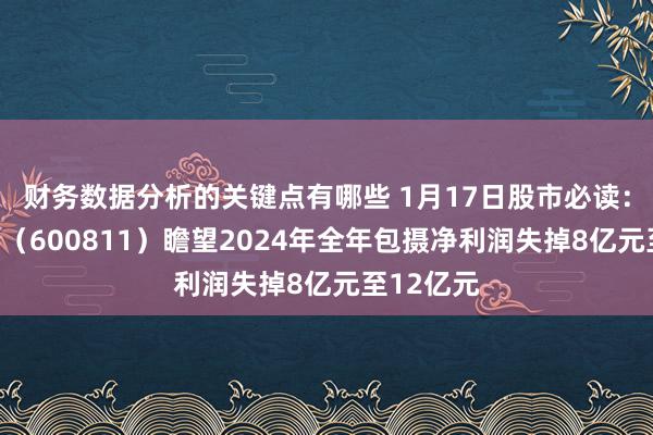 财务数据分析的关键点有哪些 1月17日股市必读：东方集团（600811）瞻望2024年全年包摄净利润失掉8亿元至12亿元