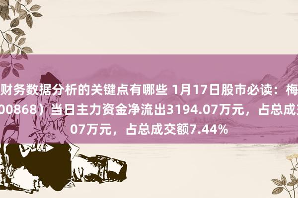 财务数据分析的关键点有哪些 1月17日股市必读：梅雁吉利（600868）当日主力资金净流出3194.07万元，占总成交额7.44%