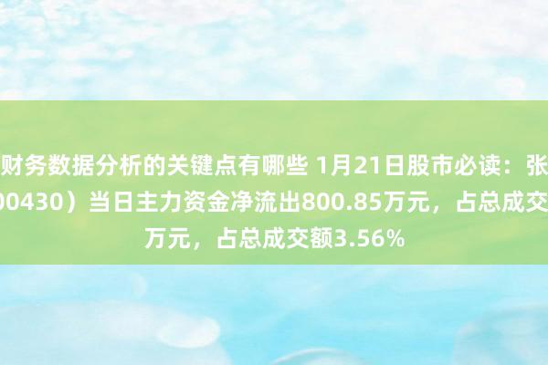 财务数据分析的关键点有哪些 1月21日股市必读：张家界（000430）当日主力资金净流出800.85万元，占总成交额3.56%