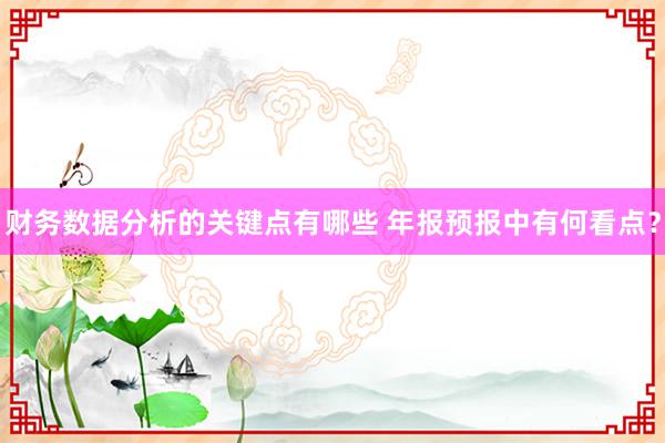 财务数据分析的关键点有哪些 年报预报中有何看点？