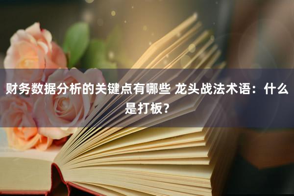 财务数据分析的关键点有哪些 龙头战法术语：什么是打板？