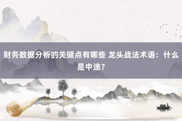 财务数据分析的关键点有哪些 龙头战法术语：什么是中途？