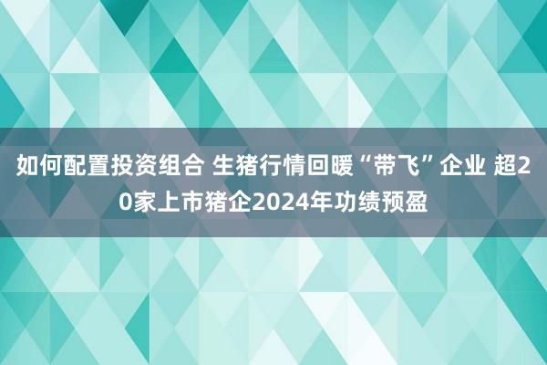 如何配置投资组合 生猪行情回暖“带飞”企业 超20家上市猪企2024年功绩预盈