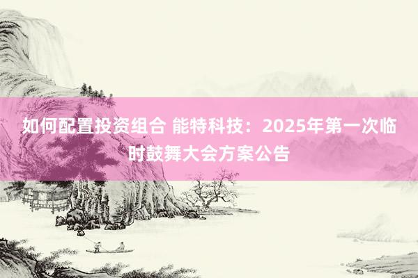 如何配置投资组合 能特科技：2025年第一次临时鼓舞大会方案公告