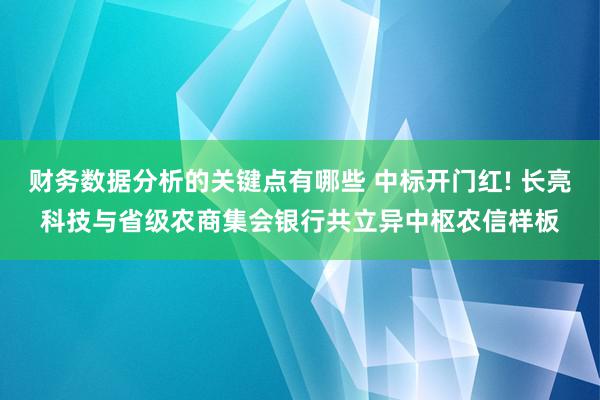 财务数据分析的关键点有哪些 中标开门红! 长亮科技与省级农商集会银行共立异中枢农信样板