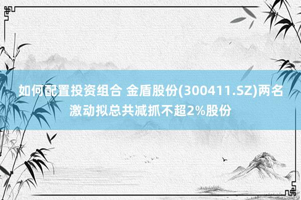 如何配置投资组合 金盾股份(300411.SZ)两名激动拟总共减抓不超2%股份