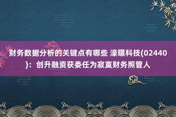 财务数据分析的关键点有哪些 濠暻科技(02440)：创升融资获委任为寂寞财务照管人