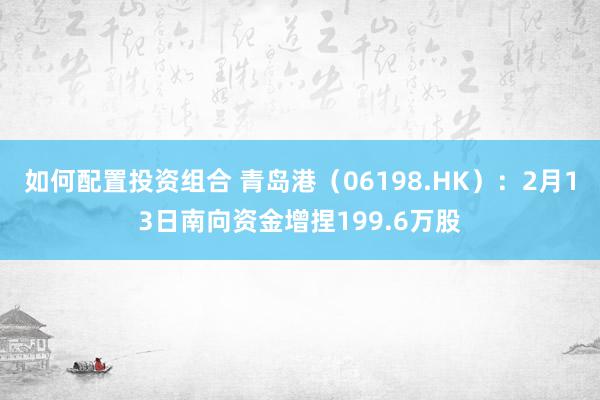 如何配置投资组合 青岛港（06198.HK）：2月13日南向资金增捏199.6万股