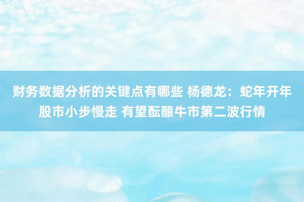 财务数据分析的关键点有哪些 杨德龙：蛇年开年股市小步慢走 有望酝酿牛市第二波行情