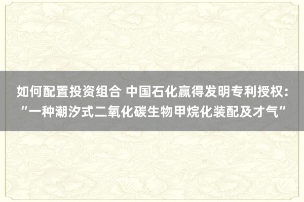 如何配置投资组合 中国石化赢得发明专利授权：“一种潮汐式二氧化碳生物甲烷化装配及才气”