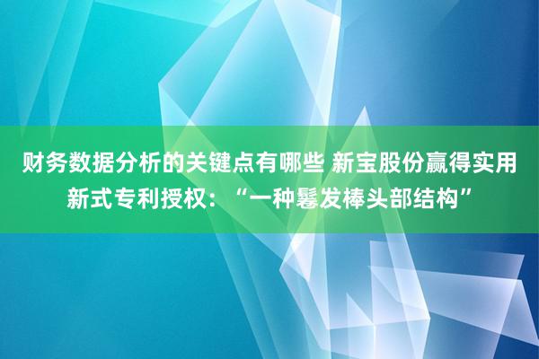 财务数据分析的关键点有哪些 新宝股份赢得实用新式专利授权：“一种鬈发棒头部结构”