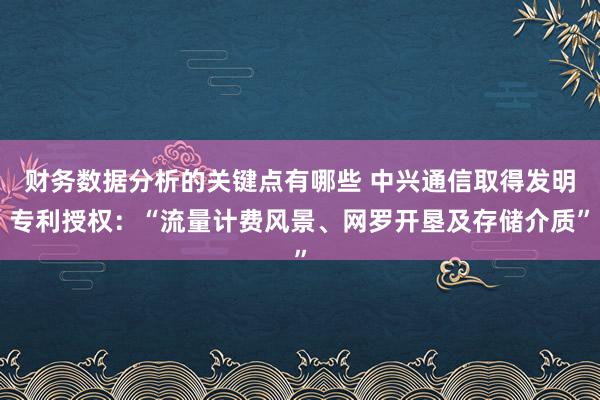 财务数据分析的关键点有哪些 中兴通信取得发明专利授权：“流量计费风景、网罗开垦及存储介质”