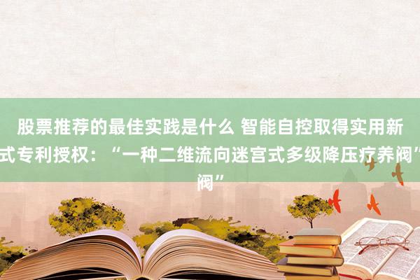 股票推荐的最佳实践是什么 智能自控取得实用新式专利授权：“一种二维流向迷宫式多级降压疗养阀”