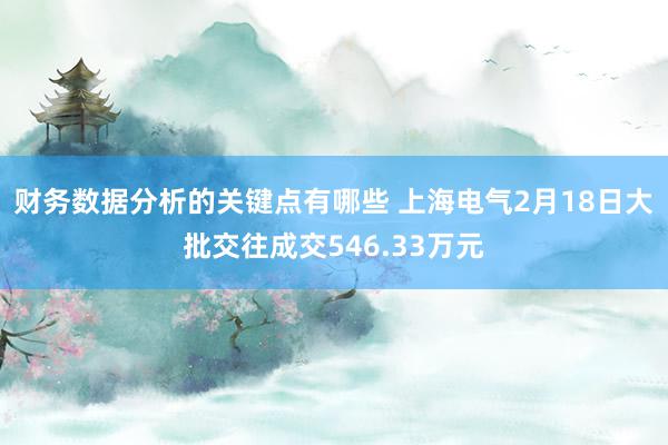 财务数据分析的关键点有哪些 上海电气2月18日大批交往成交546.33万元