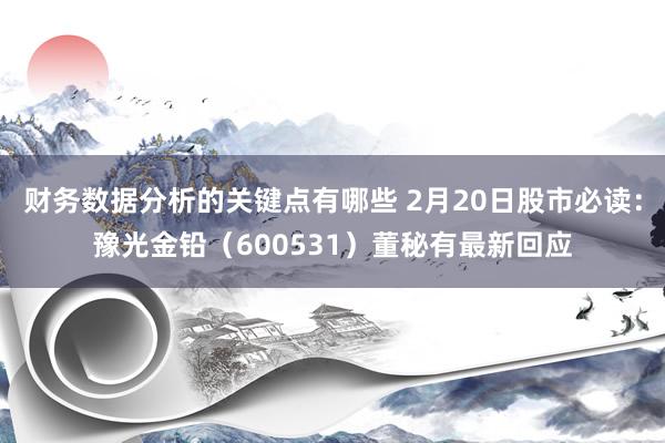 财务数据分析的关键点有哪些 2月20日股市必读：豫光金铅（600531）董秘有最新回应