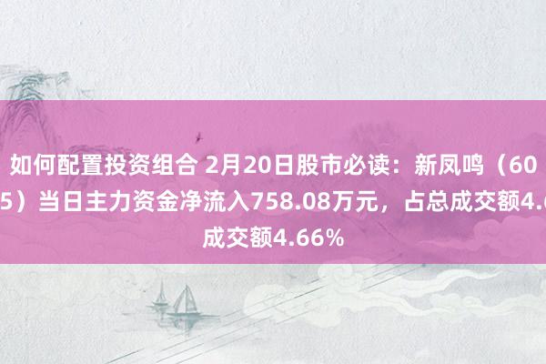 如何配置投资组合 2月20日股市必读：新凤鸣（603225）当日主力资金净流入758.08万元，占总成交额4.66%