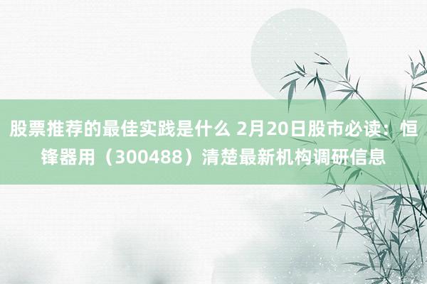 股票推荐的最佳实践是什么 2月20日股市必读：恒锋器用（300488）清楚最新机构调研信息