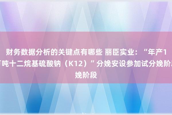 财务数据分析的关键点有哪些 丽臣实业：“年产1万吨十二烷基硫酸钠（K12）”分娩安设参加试分娩阶段