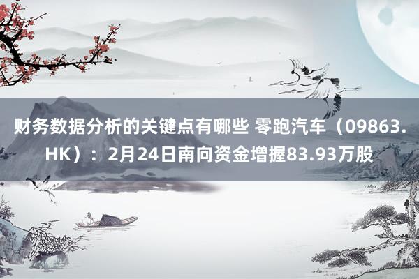 财务数据分析的关键点有哪些 零跑汽车（09863.HK）：2月24日南向资金增握83.93万股