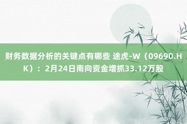 财务数据分析的关键点有哪些 途虎-W（09690.HK）：2月24日南向资金增抓33.12万股