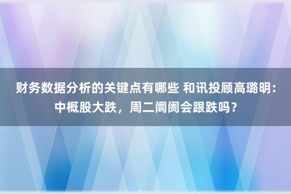 财务数据分析的关键点有哪些 和讯投顾高璐明：中概股大跌，周二阛阓会跟跌吗？