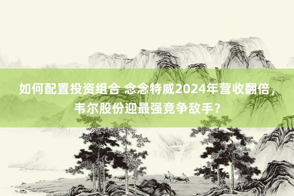 如何配置投资组合 念念特威2024年营收翻倍，韦尔股份迎最强竞争敌手？