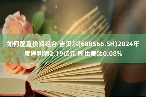 如何配置投资组合 吉贝尔(688566.SH)2024年度净利润2.19亿元 同比裁汰0.08%