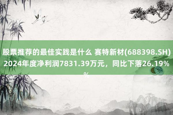 股票推荐的最佳实践是什么 赛特新材(688398.SH)2024年度净利润7831.39万元，同比下落26.19%