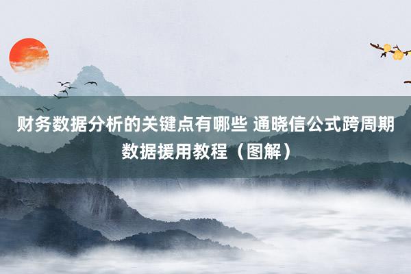 财务数据分析的关键点有哪些 通晓信公式跨周期数据援用教程（图解）