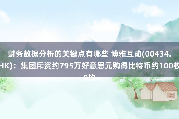 财务数据分析的关键点有哪些 博雅互动(00434.HK)：集团斥资约795万好意思元购得比特币约100枚