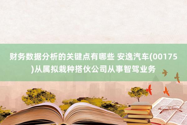 财务数据分析的关键点有哪些 安逸汽车(00175)从属拟栽种搭伙公司从事智驾业务