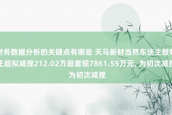 财务数据分析的关键点有哪些 天马新材当然东谈主鼓吹王超拟减捏212.02万股套现7861.55万元, 为初次减捏