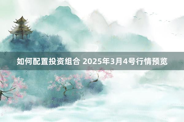 如何配置投资组合 2025年3月4号行情预览