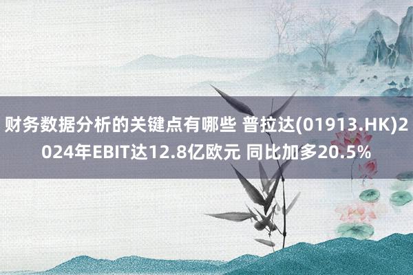 财务数据分析的关键点有哪些 普拉达(01913.HK)2024年EBIT达12.8亿欧元 同比加多20.5%