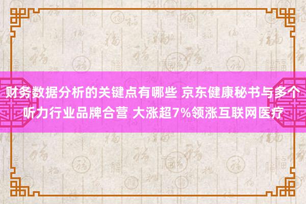 财务数据分析的关键点有哪些 京东健康秘书与多个听力行业品牌合营 大涨超7%领涨互联网医疗