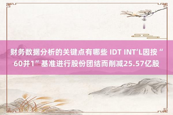 财务数据分析的关键点有哪些 IDT INT‘L因按“60并1”基准进行股份团结而削减25.57亿股