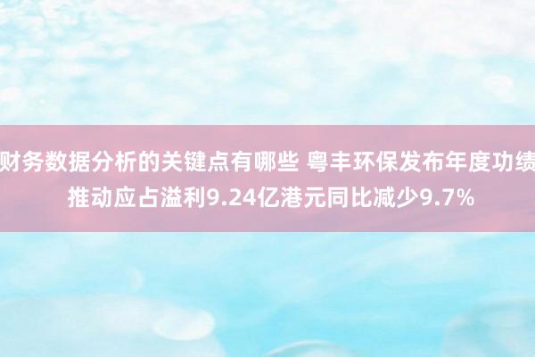 财务数据分析的关键点有哪些 粤丰环保发布年度功绩 推动应占溢利9.24亿港元同比减少9.7%