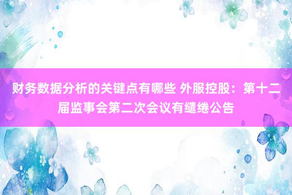 财务数据分析的关键点有哪些 外服控股：第十二届监事会第二次会议有缱绻公告