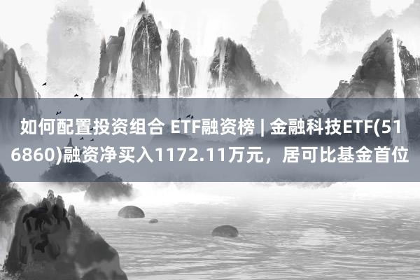 如何配置投资组合 ETF融资榜 | 金融科技ETF(516860)融资净买入1172.11万元，居可比基金首位