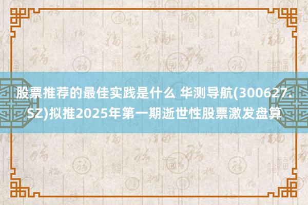 股票推荐的最佳实践是什么 华测导航(300627.SZ)拟推2025年第一期逝世性股票激发盘算