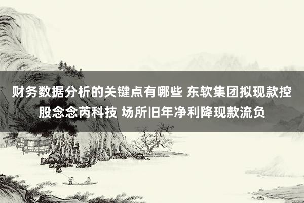 财务数据分析的关键点有哪些 东软集团拟现款控股念念芮科技 场所旧年净利降现款流负