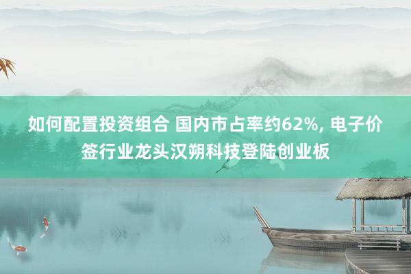 如何配置投资组合 国内市占率约62%, 电子价签行业龙头汉朔科技登陆创业板