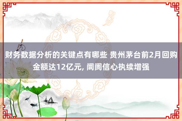 财务数据分析的关键点有哪些 贵州茅台前2月回购金额达12亿元, 阛阓信心执续增强