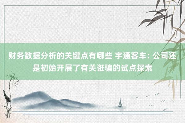 财务数据分析的关键点有哪些 宇通客车: 公司还是初始开展了有关诳骗的试点探索