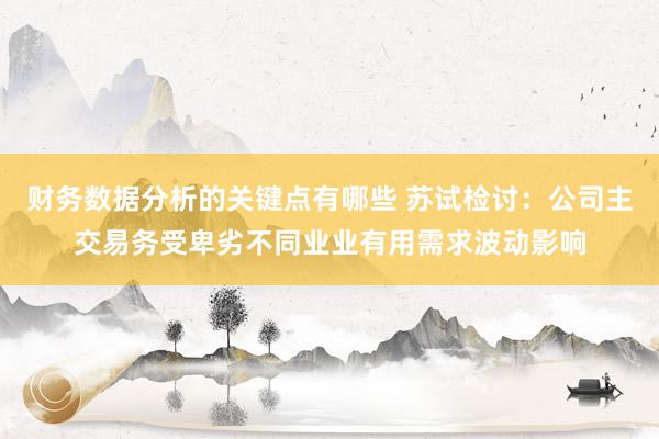 财务数据分析的关键点有哪些 苏试检讨：公司主交易务受卑劣不同业业有用需求波动影响