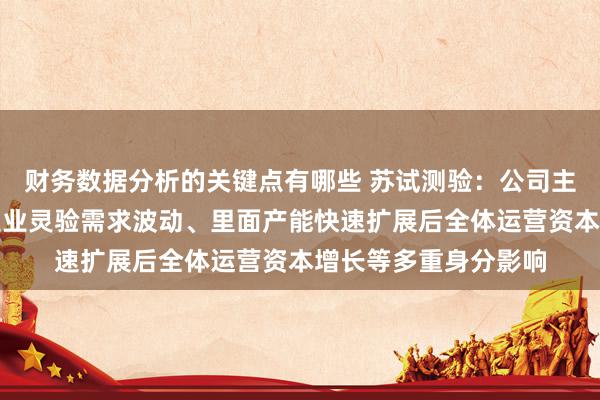 财务数据分析的关键点有哪些 苏试测验：公司主贸易务受下流不同业业灵验需求波动、里面产能快速扩展后全体运营资本增长等多重身分影响