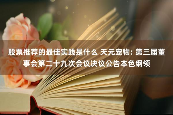 股票推荐的最佳实践是什么 天元宠物: 第三届董事会第二十九次会议决议公告本色纲领